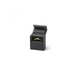 Flatline Box mini 30 x 15 x 32 mm innovative minimalist jewellery box for ring black