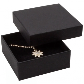 carpmisvaja Boston-korvakorurasia, musta - Image 1