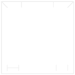 Boston korurasia korusetille - Image 2